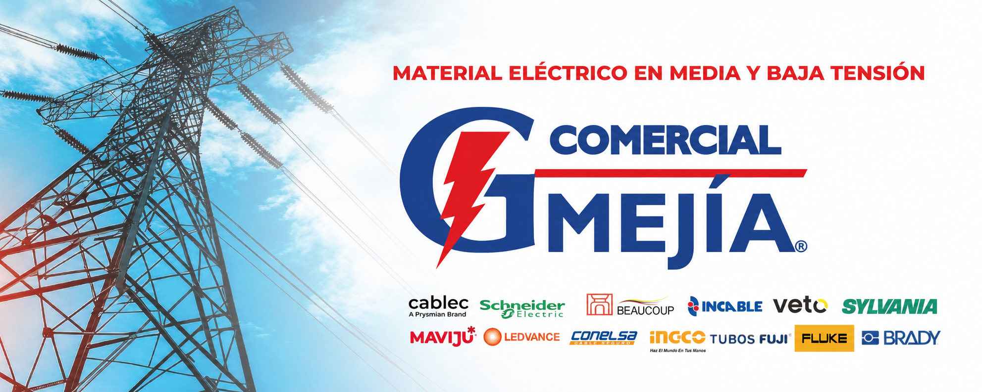 Grupo Electro Comercial Mejía
